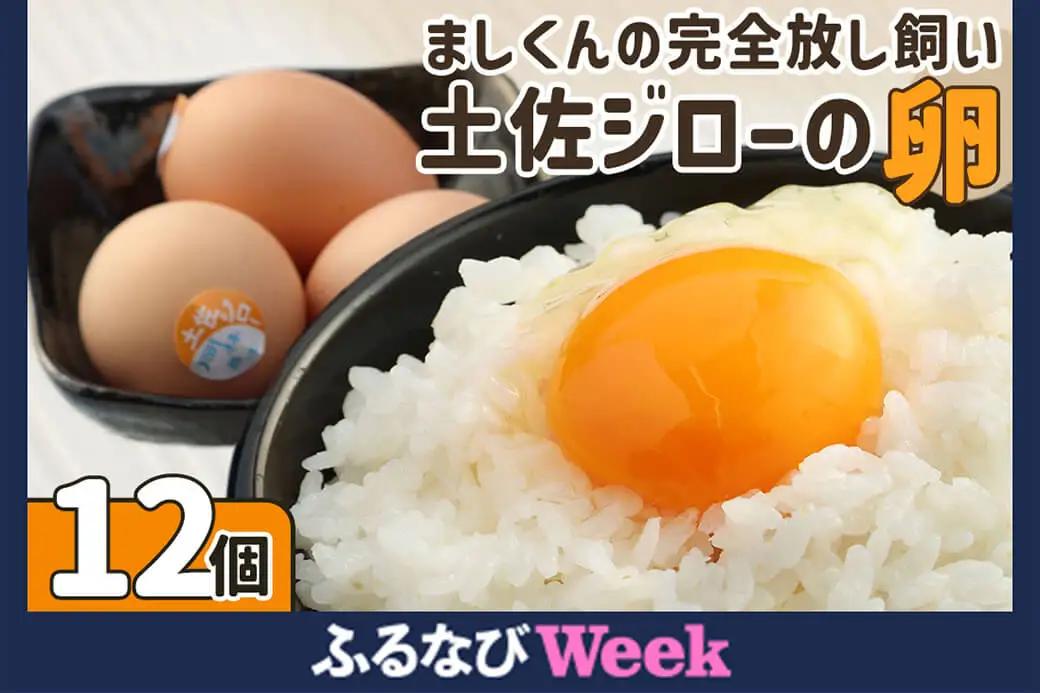 【ふるなびWEEK対象】ましくんの完全放し飼い土佐ジロー卵（12個入り） 【R00176】
