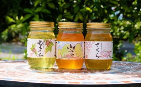はちみつ 純はちみつ さくら＆もちのき＆やまみつ はちみつ【600g×3本】