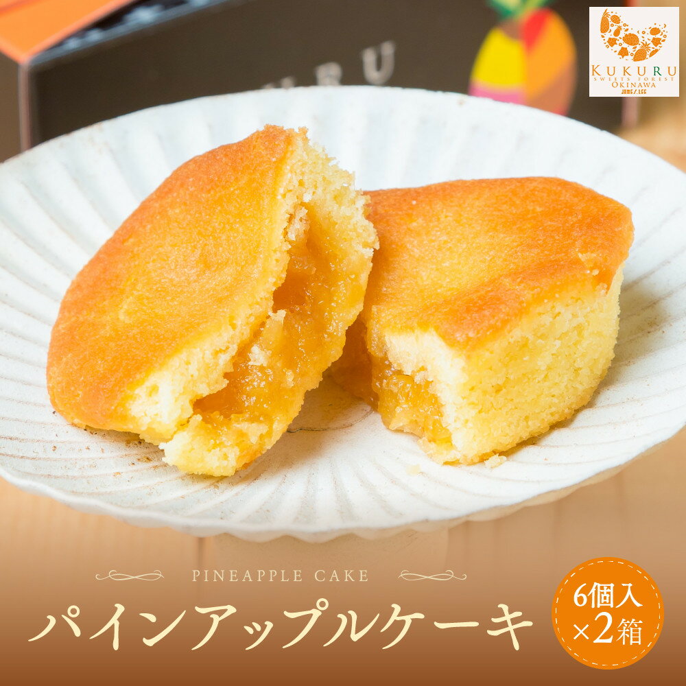 【ふるさと納税】琉球パインアップルケーキ（6個入）2箱セット | 沖縄　那覇市　菓子 焼菓子 ケーキ パイン アップル スイーツ デザート 人気　パインアップルケーキ