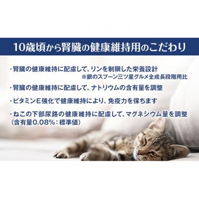 ふるさと納税 伊丹市 銀のスプーン三ツ星グルメ香るお魚仕立て10歳から4種のアソート素材入お魚レシピ猫[54030506] |  | 02