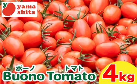 ミニトマト アイコ 約4kg トマト トマト トマト トマト トマト