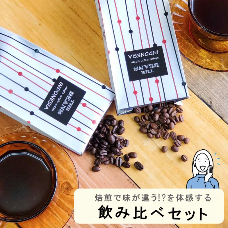 【ふるさと納税】スペシャルティコーヒー　焙煎度合の違いを体感。飲み比べセット　100g×2袋 the beans thebeans ザビーンズ 飲み物 ドリンク ハイロースト フルシティロースト コーヒーブレイク