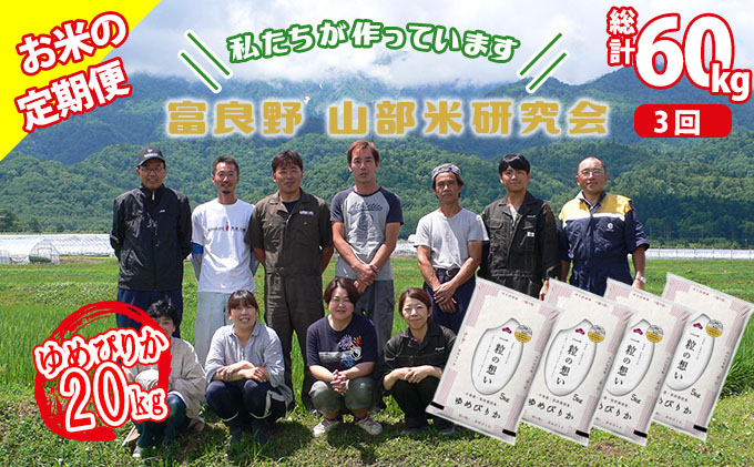 【令和6年度産】◆3ヵ月定期便◆ 富良野 山部米研究会【 ゆめぴりか 】精米 5kg×4袋（20kg）お米 米 ご飯 ごはん 白米 定期 送料無料 北海道 富良野市 道産 直送 ふらの