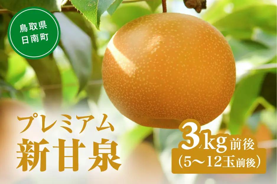 【令和9年産先行予約】プレミアム新甘泉（しんかんせん） 3kg前後(5～12玉前後) 梨 なし フルーツ 鳥取 高間商店