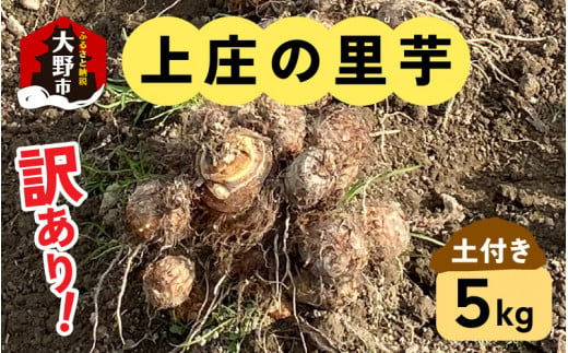 
訳あり！上庄の里芋　5kg【土付】
