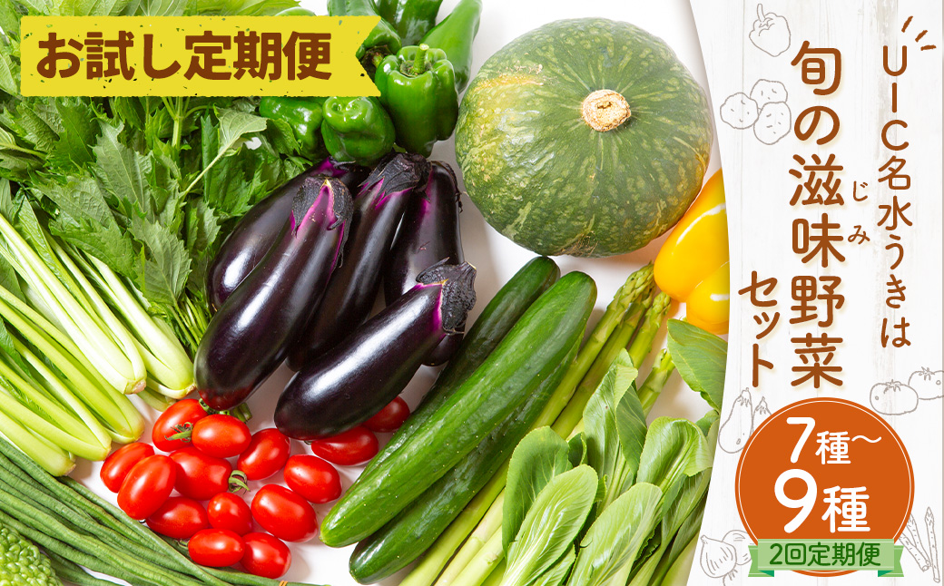 【お試し定期便】UIC 名水うきは 旬の滋味（じみ）野菜セット (ひと月1箱×2か月=計2回)