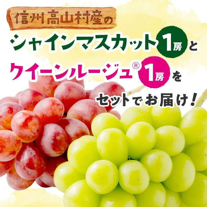クイーンルージュ＆シャインマスカット　2房セット【配送不可地域：離島】【1436453】