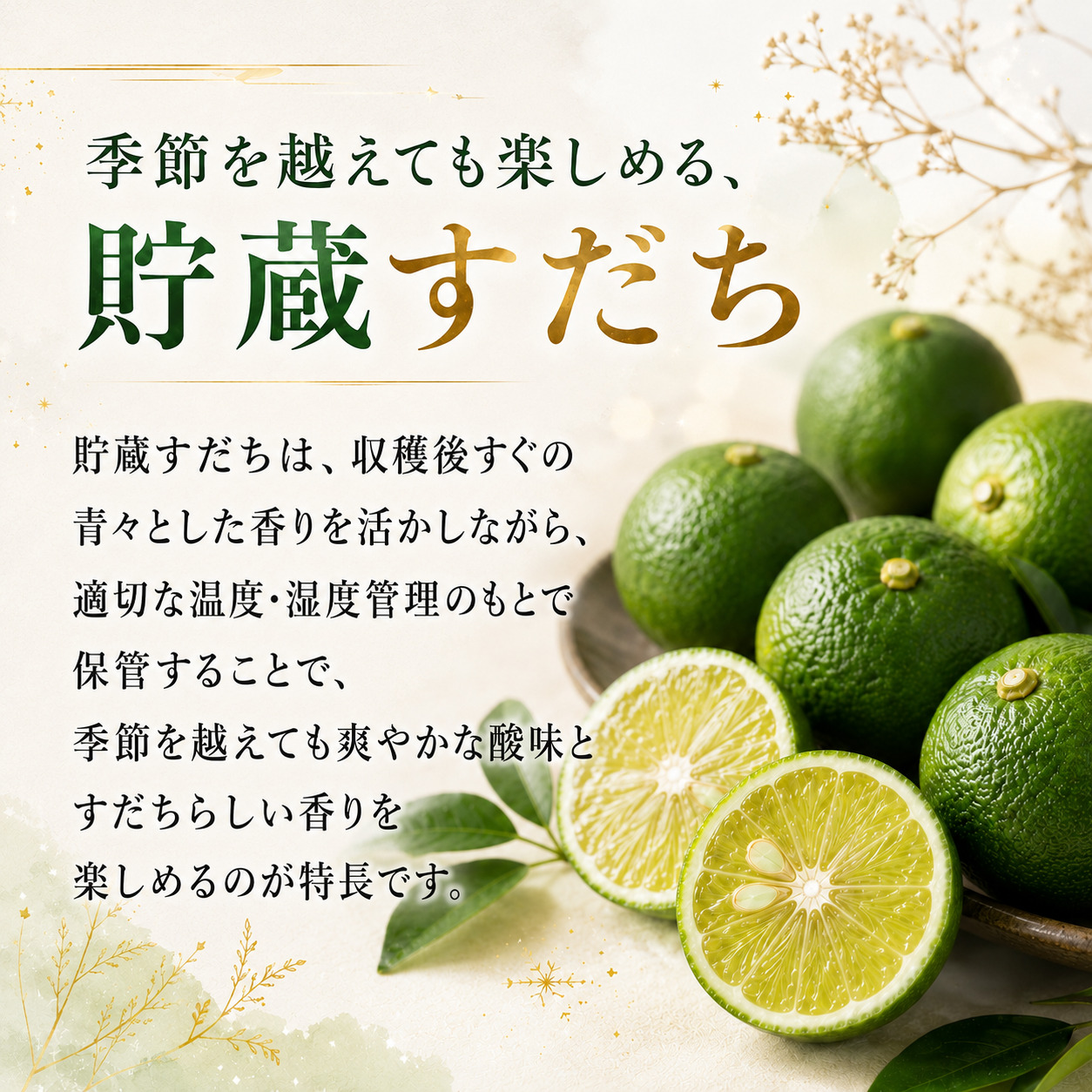 先行予約 【12月中旬～2月中旬まで順次発送】すだち 貯蔵 選べる 1kg 柑橘 スダチ 果汁 フルーツ 果物 鍋 魚 豆腐 麺類 に合う 冷蔵 産地直送 国産 徳島県