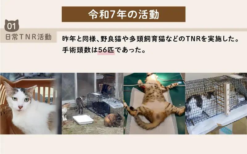 《返礼品なし》 猫愛護活動支援 5,000円 猫ちゃん 猫 ねこ 動物 保護 愛護 保護活動 応援 支援 寄付 南種子町 鹿児島 かごしま