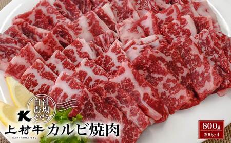 宮崎県産　上村牛カルビ焼肉800g　国産牛肉　カミチク＜1.4-5＞
