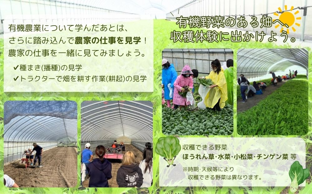 有機農業 就業体験 ツアー お土産付 10名様迄／ 収穫体験 種まき トラクター 農家 有機野菜 オーガニック 無農薬 SDGs 関西 チケット カレー 山口農園 奈良県 宇陀市 ふるさと納税