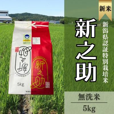 ふるさと納税 柏崎市 【特別栽培米 新之助】無洗米5kg◆令和7年産◆アグリード越後のお米(精米)