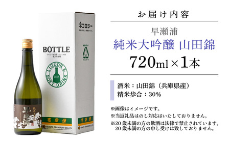 早瀬浦 純米大吟醸 山田錦 720ml × 1本 【入手困難 日本酒 就職祝い 転職祝い ハレの日 ギフト プレゼント お祝い お返し お礼 お中元 お歳暮 父の日 敬老の日 】[m06-c004]