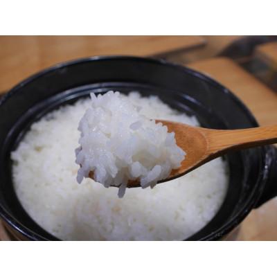 ふるさと納税 村上市 【新米受付・令和7年産米】空舞米　新潟県岩船産 新之助精米12kg 1063002N |  | 02