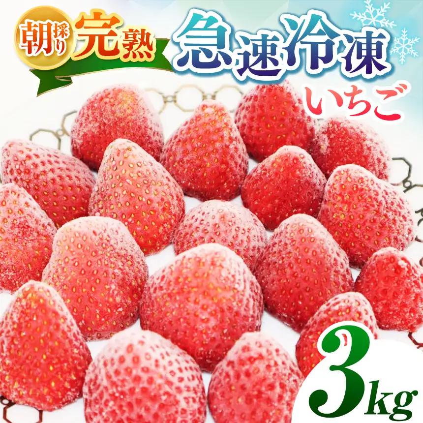 完熟・急速 冷凍いちご 3kg | 渡邉いちご園