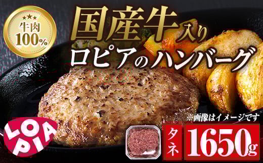 
            ロピア 牛肉100％ 国産牛入りハンバーグ (タネ：1650g) 春日市限定 牛肉 味付け肉 下味付き ロピア LOPIA 味付け 惣菜 おかず 冷凍 焼くだけ タネ ＜離島配送不可＞【ksg1867】【ロピア】
          