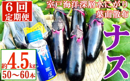【定期便6回発送】農家直送　土佐の美味茄子の新鮮ナス　４．５kg　（室戸海洋深層水にがり使用） 野菜 なす ナス 常温 小袋 国産 夏野菜 茄子 小分け 旬 90000円 高知 bn018