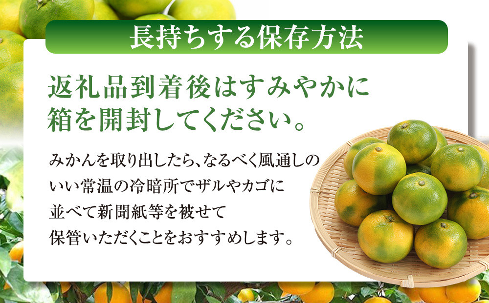 有田みかん専門店 有田の太陽Rファミリー 極早生 有田みかん 9.5kg＋補償分100g 山採れ・サイズ・等級 混合
