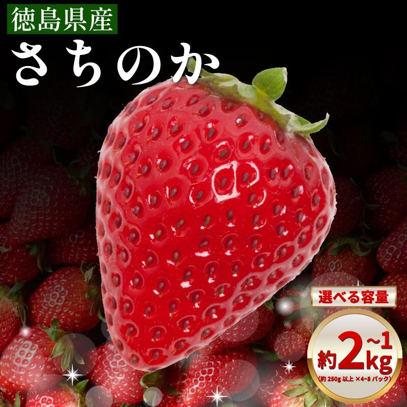 【ふるさと納税】 いちご 1kg ～ 2kg 選べる 容量 さちのか 苺 イチゴ ストロベリー 数量限定 徳島県産 ichigo strawberry itigo 1月下旬より順次出荷 徳島県