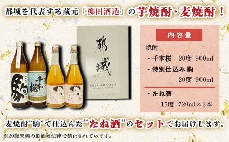 芋焼酎・麦焼酎・たね酒4本セット≪みやこんじょ特急便≫_MK-3506_(都城市) 芋焼酎 麦焼酎 千本桜 特別仕込み 駒 たね酒 900ml瓶 720ml瓶 計4本セット 