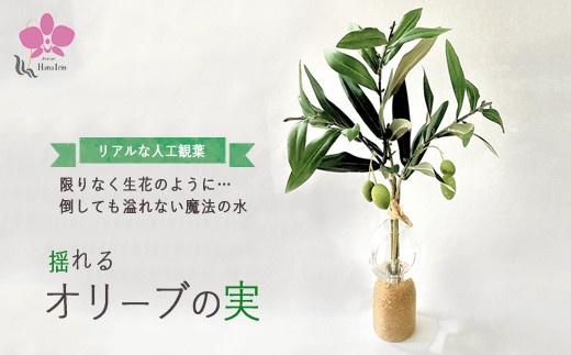 
            倒してもこぼれないお水 癒しのグリーン「揺れるオリーブの実」光触媒
          