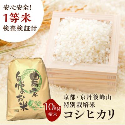 ふるさと納税 京丹後市 2025年産 京都・京丹後峰山 特別栽培米コシヒカリ 10kg 【白米】 1等米 検査済証付