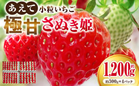 ”あえて”小粒いちご　極甘さぬき姫1,200g×1箱 | いちご 小粒 高級 さぬき姫 果物 フルーツ おすすめ 旬 イチゴ 季節 旬の果物 ギフト パック 果実 贈り物 化粧箱 贈答用 デザート 人
