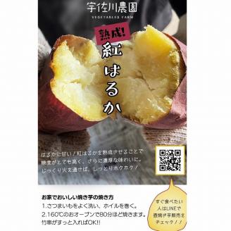 紅はるかさつまいも