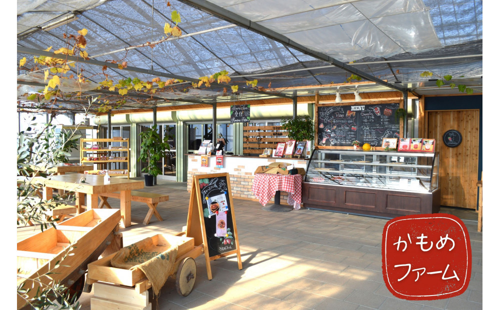 かもめファーム ゆめのか 化粧箱 400g（9～15粒）岡山県産 いちご 秀品