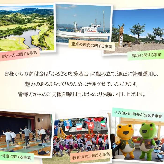 日本三大うちわ 京うちわ 名前入りオリジナルうちわ 蛍草 赤 1枚  箱入り
