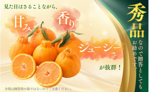  【先行予約】秀品 ハウス不知火 2kg※箱込み【L～4Lのサイズおまかせ】【2026年1月下旬から2026年２月下旬頃に順次発送】＜味好農園＞/不知火 デコポン 蜜柑 みかん 柑橘 果物 フルーツ 