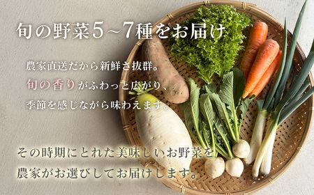 【Hello!農園 直送】秋のおまかせ野菜セット(5~7品) 栽培期間中農薬・化学肥料不使用 / 野菜 やさい 新鮮 旬 採れたて おいしい 産地直送 産直 無農薬野菜 こだわり 定番野菜 めずらしい