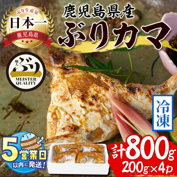 【ふるさと納税】＜すぐ届く！＞鹿児島産冷凍ぶりカマ(計800g・200g×4個)ぶり ブリ 鰤 魚 海鮮 魚介 カマ 国産 鹿児島県産 垂水市産 小分け 冷凍 養殖 ぶり職人【アクアブルー】W-4718