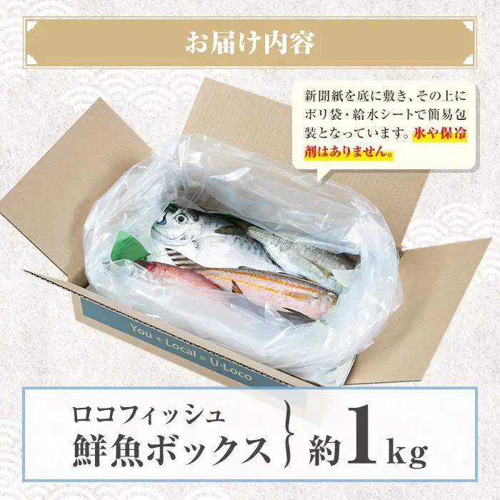 鮮魚ボックス 約1kg 鮮魚BOX ロコフィッシュ 下処理済 エコ包装【昌徳丸】P78001