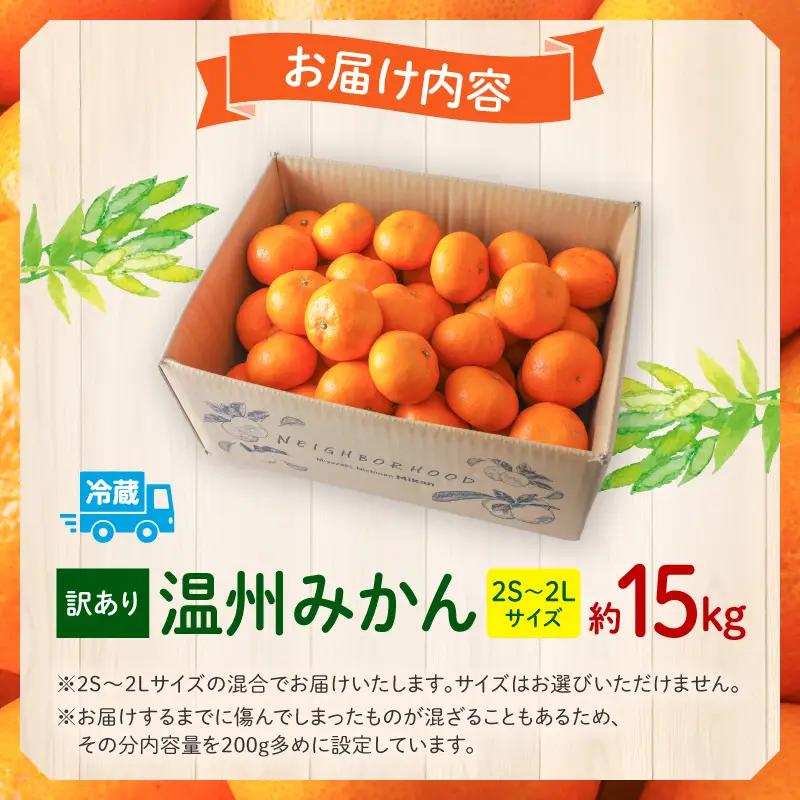 果物 温州みかん 果物[訳あり 15kg 傷み補償分200gを同梱 2026年～2027年発送先行予約]