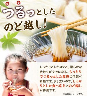 素麺 ソーメン 手延べ素麺 50g × 50束 2.5kg かも川手延素麺株式会社《30日以内に発送予定(土日祝除く)》---124_14_30d_23_20000_50---