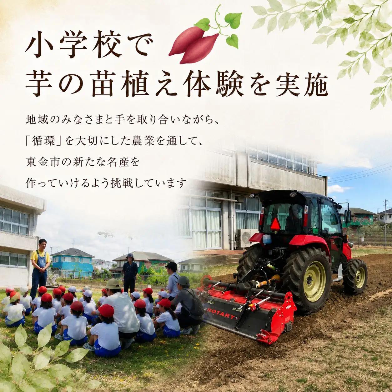干し芋 150g×5袋 750g 紅はるか さつまいも