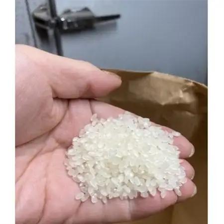 さいわき農園のお米(精米)(キヌヒカリ)　5kg【1682029】