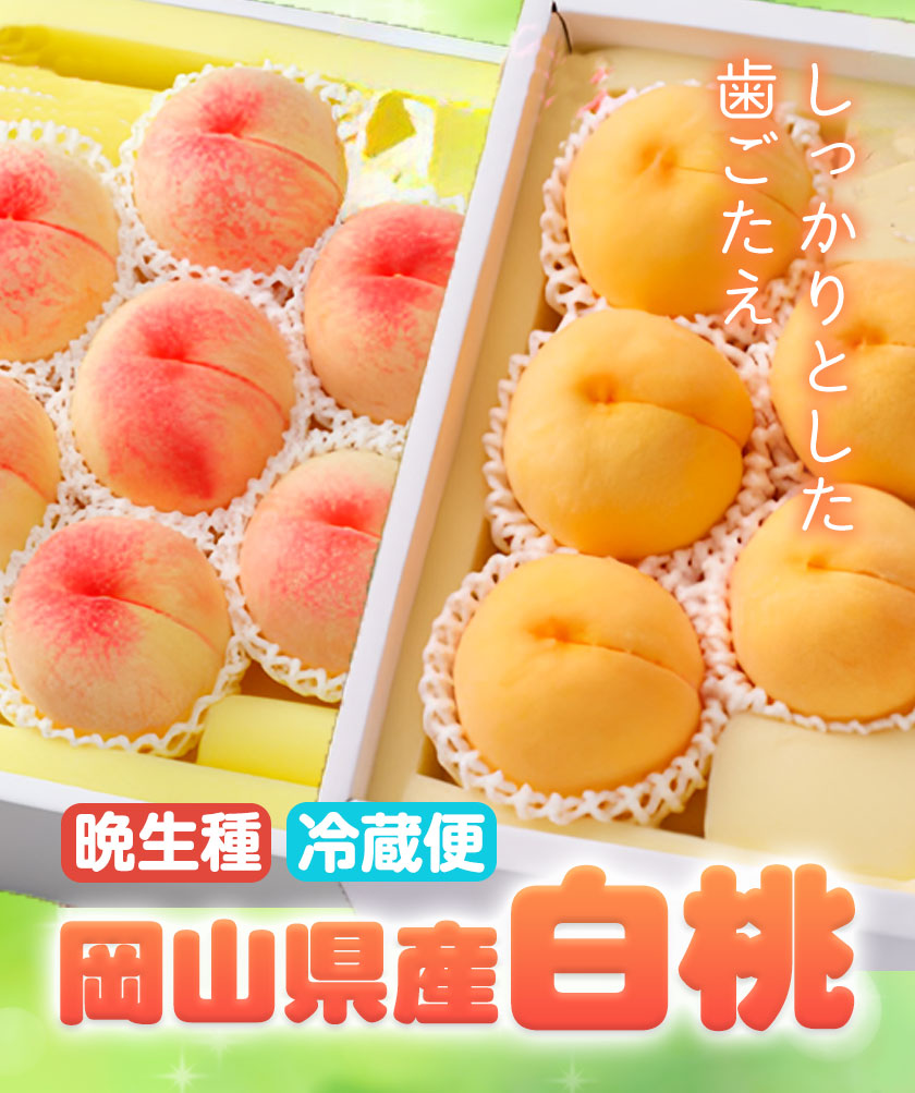 【先行予約】 岡山県産 白桃 晩生種 大玉 約2.2kg 6〜7玉 晴れの国 おかやま館 漂流岡山 《2024年7月下旬〜9月下旬頃に発送》岡山県 浅口市 フルーツ モモ 果物 青果 旬