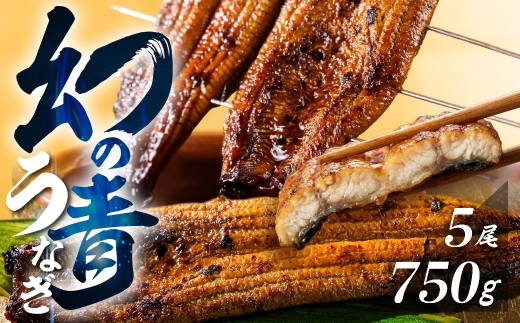 【すぐにお届け/冷蔵】厳選 高級 青うなぎ 5尾 蒲焼 750g