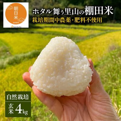 ふるさと納税 赤磐市 先行受付 自然栽培 農薬不使用 肥料不使用 玄米4kg 令和8年産[NO5765-1516]