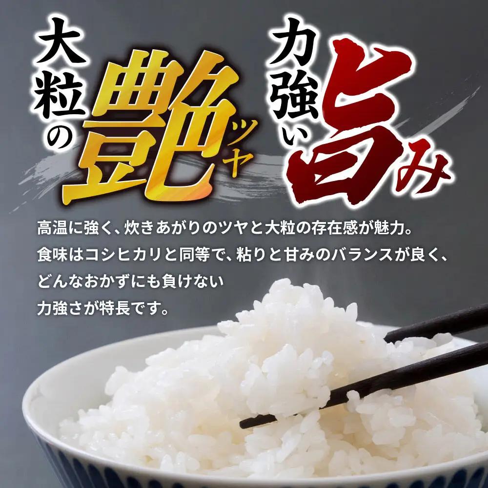 令和7年産【白米】群馬県 板倉町産 にじのきらめき 5kg