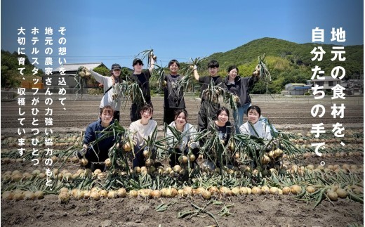 海月館 自社農場栽培！淡路島産 玉ねぎ