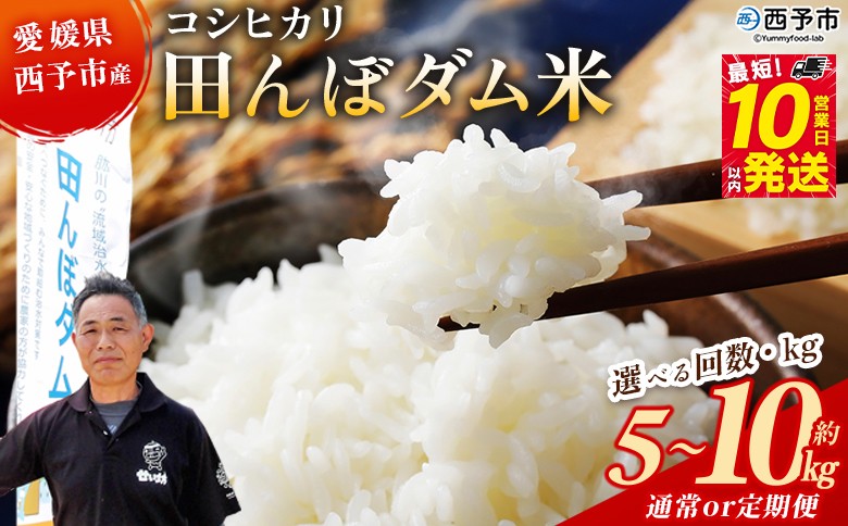 
                  ＜令和7年産 愛媛県西予市産 コシヒカリ 田んぼダム米 5kg/10kg＞※最短10営業日以内に順次発送予定 選べる 5キロ 10キロ 定期便 こしひかり 西予応援米 宇和米 お米 コメ こめ 白米 精米 米 国産 愛媛県産 宇和町産 和みファーム 愛媛県 西予市【常温】
                