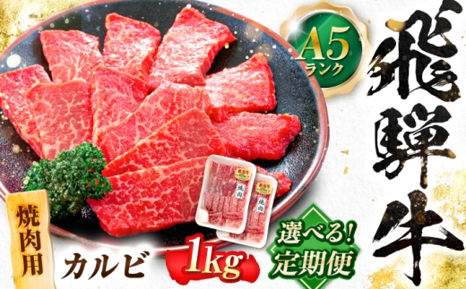 【3回定期便】飛騨牛 A5等級 焼肉用 カルビ 1kg 牛肉 肉 お肉 焼き肉 BBQ 岐阜市 / 肉の松久 [ANIP042]
