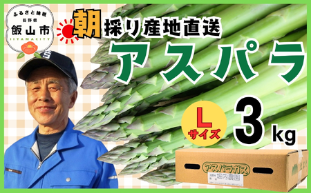 【2026年発送 先行予約】朝採り!露地栽培 アスパラガス L級サイズ 3kg 《 2026年5月発送 》(Bu-003) | 信州 飯山 アスパラ 春アスパラ 露地栽培 朝採れ