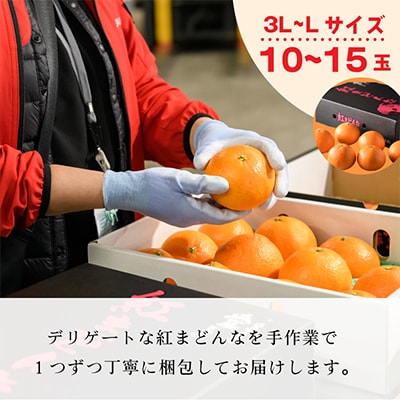 【C62】【先行受付】紅まどんな(化粧箱入)3L〜L　10〜15玉　11月中旬〜12月中旬にお届け　【1111436】