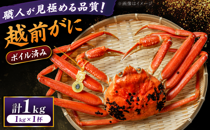 【先行予約/11月18日より順次配送】越前がに 1kg×1杯 茹で 福井県産ズワイガニ / かに カニ 蟹 越前ガニ ズワイガニ ボイル / 小浜市 / 一進わかさ【配送不可地域：北海道・沖縄・離島】 [BFES009]