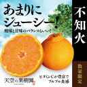 【ふるさと納税】【しっかり果肉】天空の果樹園から届く そらデコ/不知火(4kg)【C45-44】【1339326】