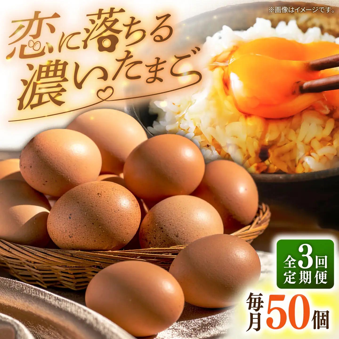 素直な恋たまご 50個 3回定期便 [JAP023] たまご